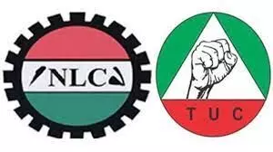 Strike successful in Kano as federal, state secretariats empty, banks comply Strike successful in Kano as federal, state secretariats empty, banks comply