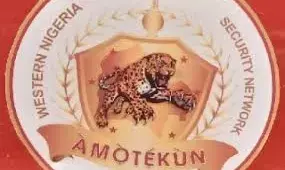 Amotekun Corps arrest 48 suspects, inaugurate operation Safe-ground