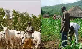 3 injured as farmers, herders clash in Jigawa