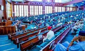 Reps to probe alleged exploitative pricing practices against Nigerian businesses