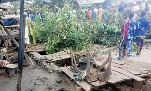 Trees kill four at Jattu market during rainfall