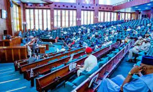 Reps query minister for allegedly spending N45m on new year party, N20m on sanitary pads
