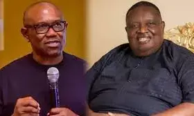 Iwuanyanwu was a bridge builder – Obi