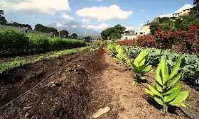 National Park C-G urges Nigerians to embrace organic farming