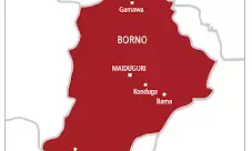 IED kills 1, injures 11 in Maiduguri — Police