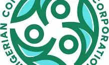 N200bn consumer credit will make life easier for Nigerians – Tinubu N200bn consumer credit will make life easier for Nigerians – Tinubu