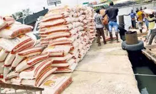 Poultry Association seeks license for maize imports