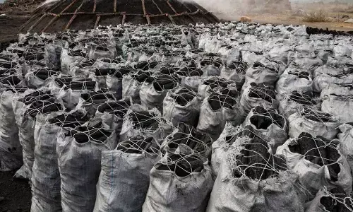 Price of charcoal skyrockets in Kano