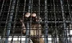 Police detain tea vendor for allegedly beating teenager to death