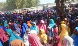 ‘I regret shredding my NCE certificate to pieces’, says repentant female insurgent