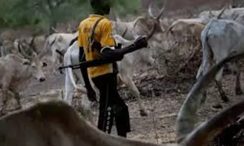 Emir Sanusi offers to help resolve Fulani crises