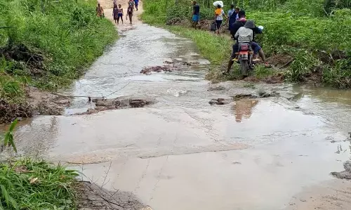 Community widows:  Our wars are over but wounds yet to heal