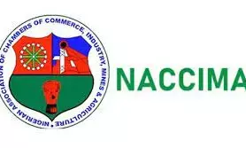 South-West region’s abundant natural, agricultural resources yet to be harnessed — NACCIMA vice-chairman