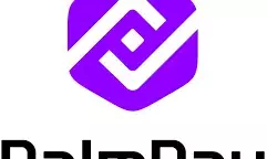 Palmpay unveils USSD code for enhanced financial access