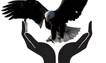 NGO creates app for easy reporting of GBV cases