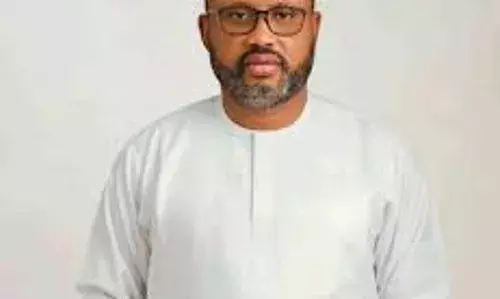 Deputy governor says council poll fantastic, commendable