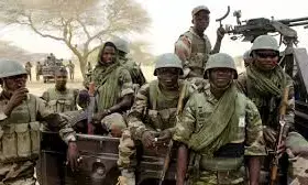 Troops rescue 38 hostages, disrupt Boko Haram supply chain