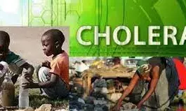 1 die out of 86 suspected cholera cases in Kaduna