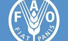 Over 2.8bn people can’t afford healthy diets – FAO Over 2.8bn people can’t afford healthy diets – FAO