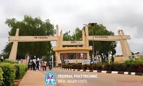 Bida Poly Council summons ex-rector over stewardship