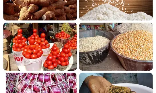 Increasing prices of food items worry residents of Ibadan and environs