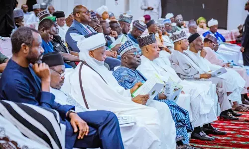 ‘Seek robust solutions to northern problems’, Tinubu to leaders