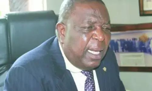 Ex-ANAN President says FG must urgently “block leakages” to stem inflation