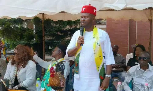 Egwuonwu, an industrialist, joins race to replace late Sen. Ubah in Senate