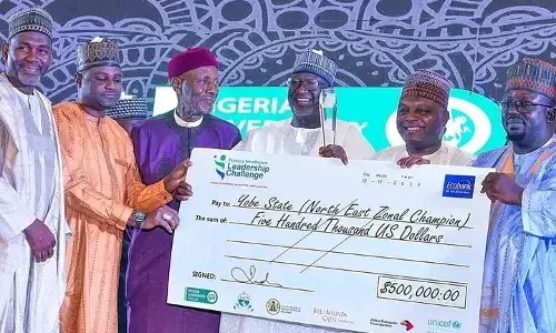 Yobe wins $500,000 for excellence in PHC service delivery