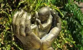 WARDC, others seek end to maternal deaths from unsafe abortions