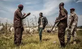 Plateau community denies claims of attacks on herders