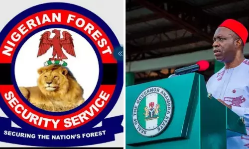 Insecurity: We are ready to rescue Anambra from unknown gunmen- NFSS