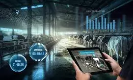 Expert wants Nigeria leveraging technology to tap into livestock export market