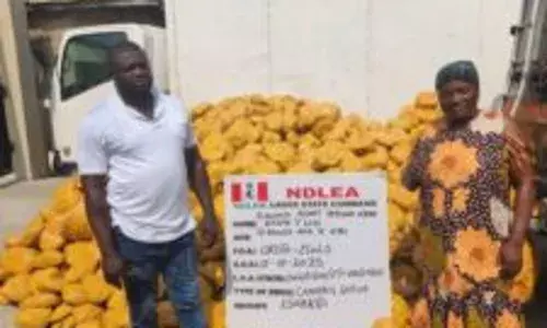 NDLEA intercepts wanted drug kingpin, Nollywood filmmaker over illicit drug shipment