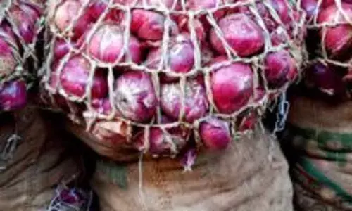 Onion farmers link price hike, scarcity to flood, climate change