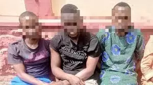 Police arrest 25 suspects including man who allegedly beheaded 80-year-old woman in Ogun Police arrest 25 suspects including man who allegedly beheaded 80-year-old woman in Ogun