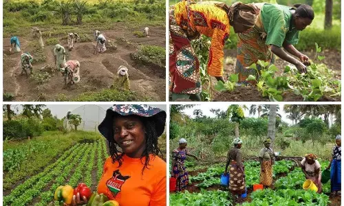 Group urges support for women in agriculture