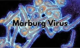 8 killed in suspected Marburg virus disease outbreak in Tanzania-WHO