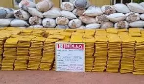 NDLEA apprehends 366 traffickers, seizes 1,560.97kg of hard drugs in Enugu