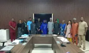 Kwara NG-CARES programme surpasses expectations, says independent assessor