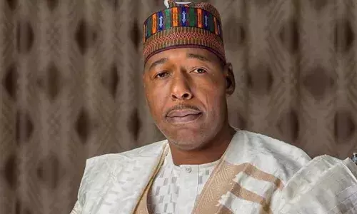 Gov. Zulum advocates long-term solutions to climate change, flooding in Borno