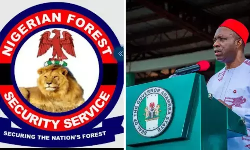 Insecurity: Forest guards seek integration into Anambra security architecture Insecurity: Forest guards seek integration into Anambra security architecture