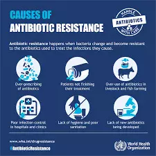 Experts highlight risk communication’s role in combating AMR
