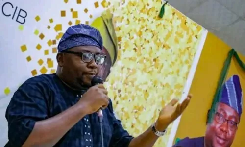 Power: minister seeks U.S. collaboration with Africa to end energy poverty