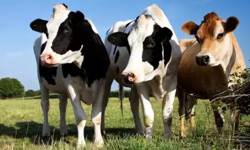 FG to clear 500 hactares of land for ranching in Benue-Minister FG to clear 500 hactares of land for ranching in Benue-Minister