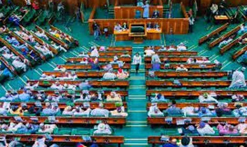 Examining House of Reps’ 60-year age limit for president, governors