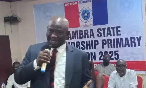 Nweke emerges African Alliance candidate for Anambra guber poll