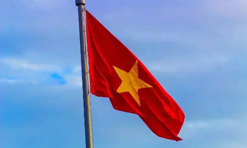 Vietnamese woman’s murder in southwest Sydney linked to organised crime