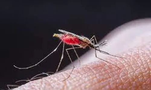 Commissioner warns against sale of anti-malaria medicines without test results Commissioner warns against sale of anti-malaria medicines without test results