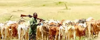 Foreign herders behind attacks on communities – DHQ